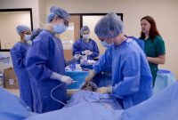 Surgical Technologist Surgical Technologist